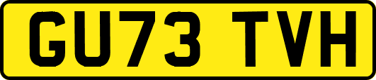 GU73TVH