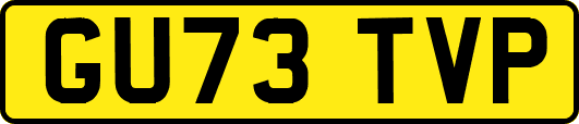 GU73TVP