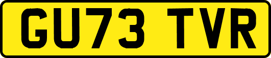GU73TVR