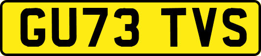 GU73TVS