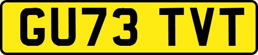 GU73TVT