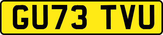 GU73TVU
