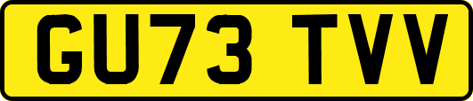 GU73TVV
