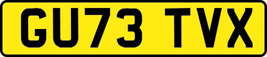 GU73TVX