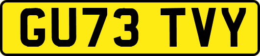 GU73TVY