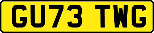 GU73TWG