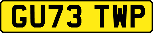 GU73TWP