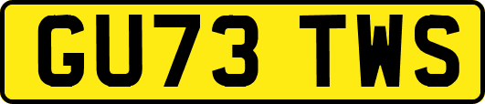 GU73TWS
