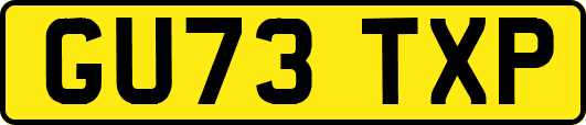 GU73TXP