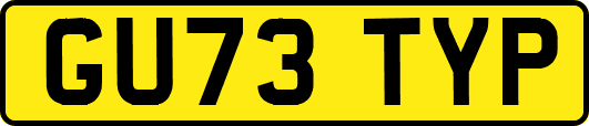 GU73TYP