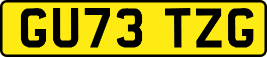 GU73TZG