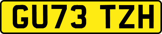 GU73TZH