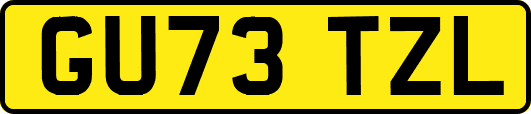 GU73TZL