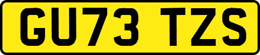 GU73TZS