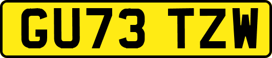 GU73TZW