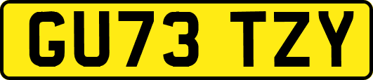 GU73TZY