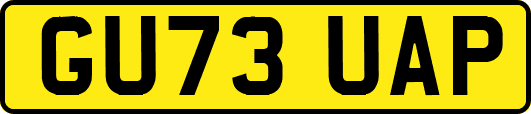 GU73UAP