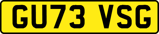 GU73VSG
