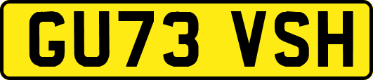 GU73VSH