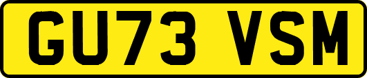 GU73VSM