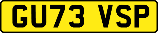 GU73VSP