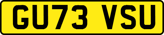 GU73VSU