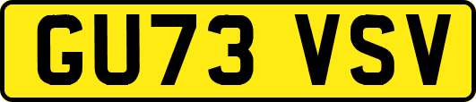 GU73VSV