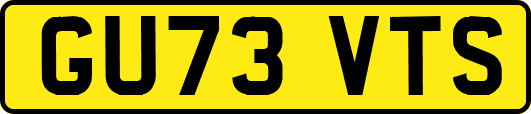 GU73VTS