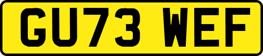 GU73WEF