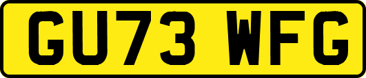 GU73WFG