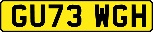 GU73WGH