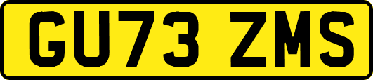 GU73ZMS