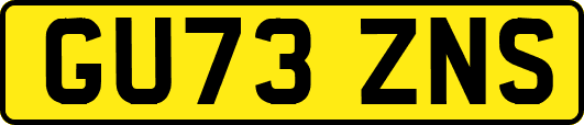 GU73ZNS