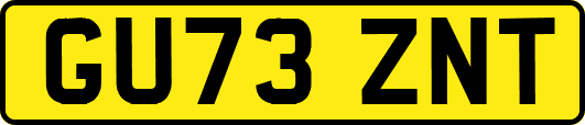 GU73ZNT