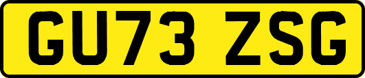 GU73ZSG