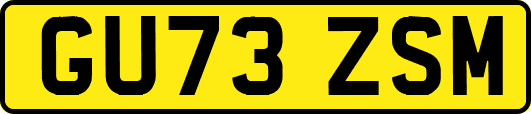 GU73ZSM