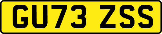 GU73ZSS