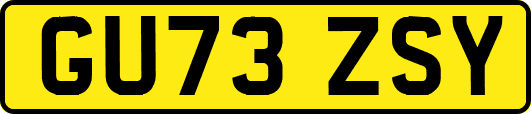 GU73ZSY
