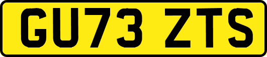 GU73ZTS
