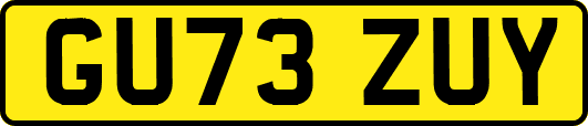 GU73ZUY