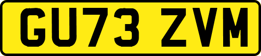 GU73ZVM