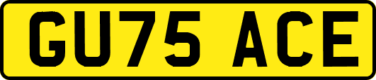 GU75ACE