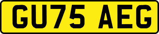GU75AEG
