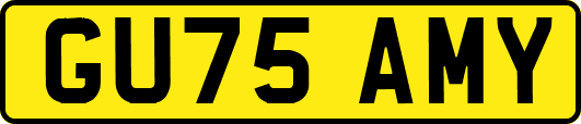 GU75AMY