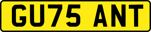 GU75ANT