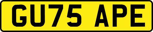 GU75APE