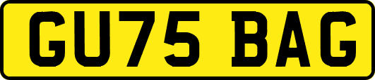 GU75BAG