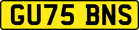 GU75BNS