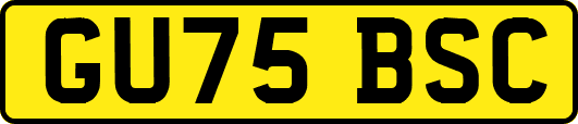 GU75BSC