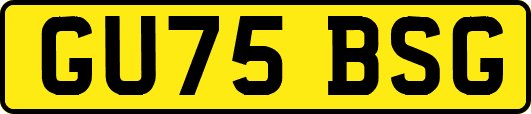 GU75BSG